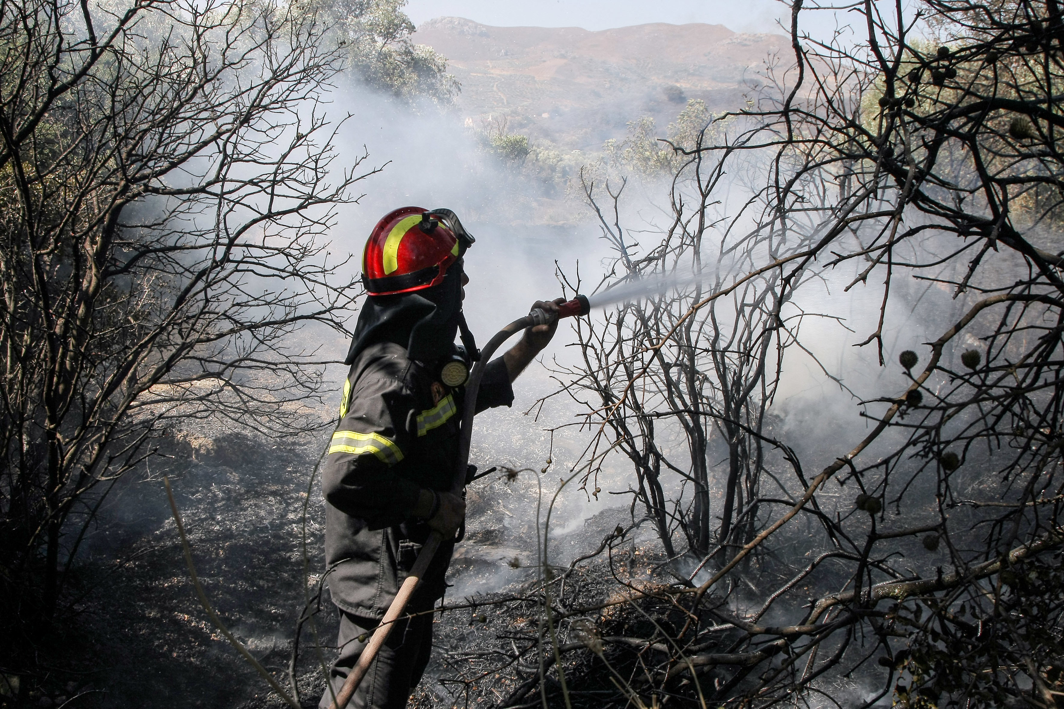 Κρήτη: Κτηνοτρόφος και εργάτης κατηγορούνται για την καταστροφή στη Βιάννο