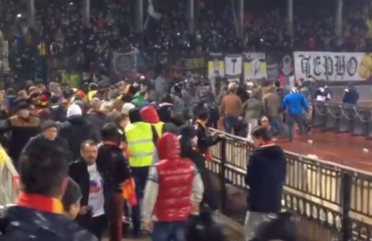 Το ξύλο της… αρκούδας