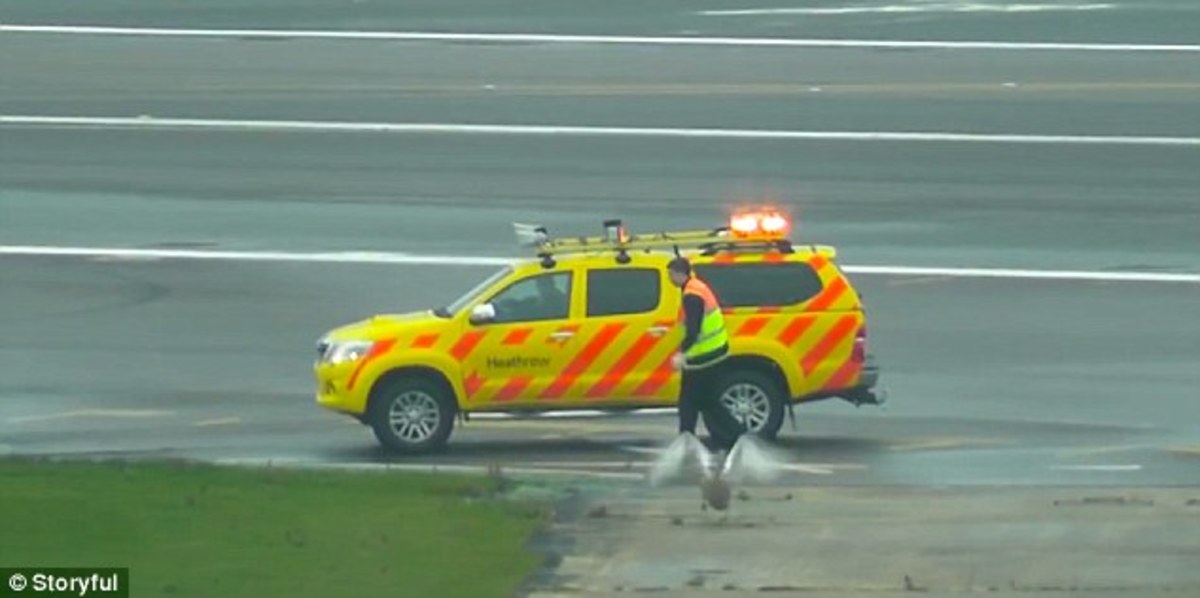 ΠΗΓΗ ΦΩΤΟ DAILY MAIL