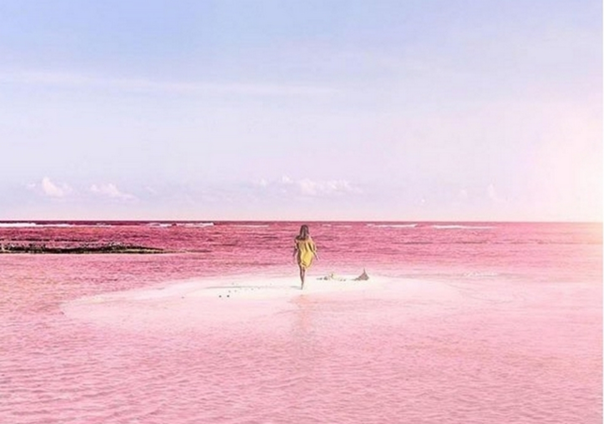 Εντυπωσιακό τοπίο! Η λιμνοθάλασσα με ροζ νερά που μαγεύει το ίντερνετ [pisc]