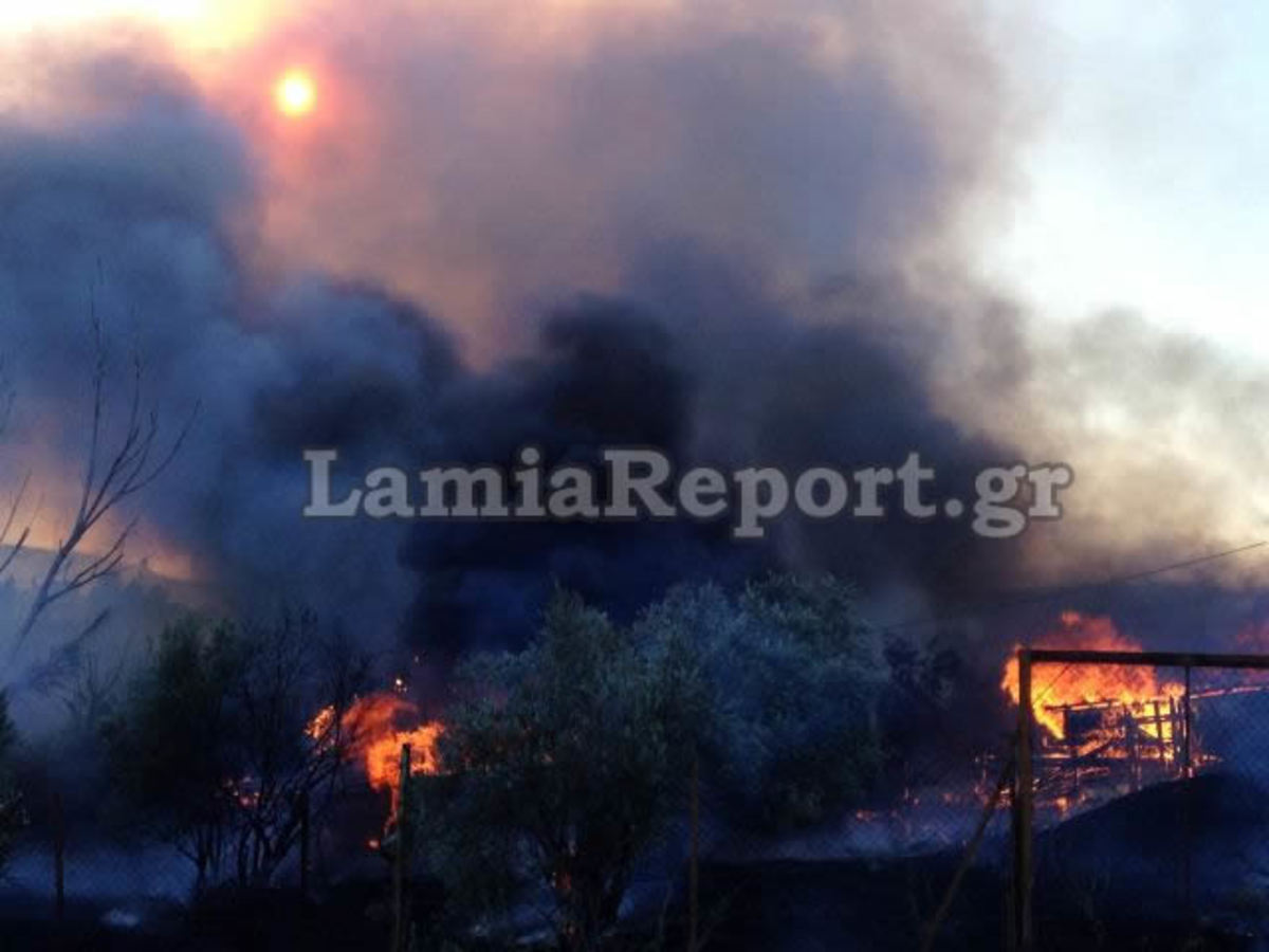 Λαμία: Κινδύνεψαν σπίτια απ’ την πυρκαγιά χθες το απόγευμα – ΒΙΝΤΕΟ