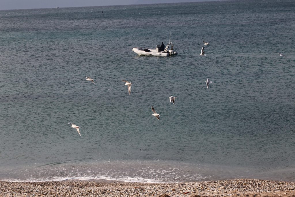 Θάνατος – μυστήριο για πατέρα και γιο που έκαναν υποβρύχιο ψάρεμα