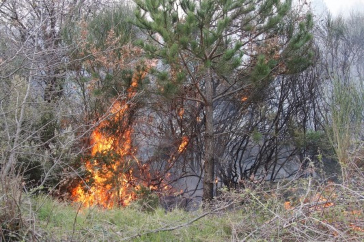 Λήξη συναγερμού – Υπό έλεγχο η φωτιά στα Χανιά