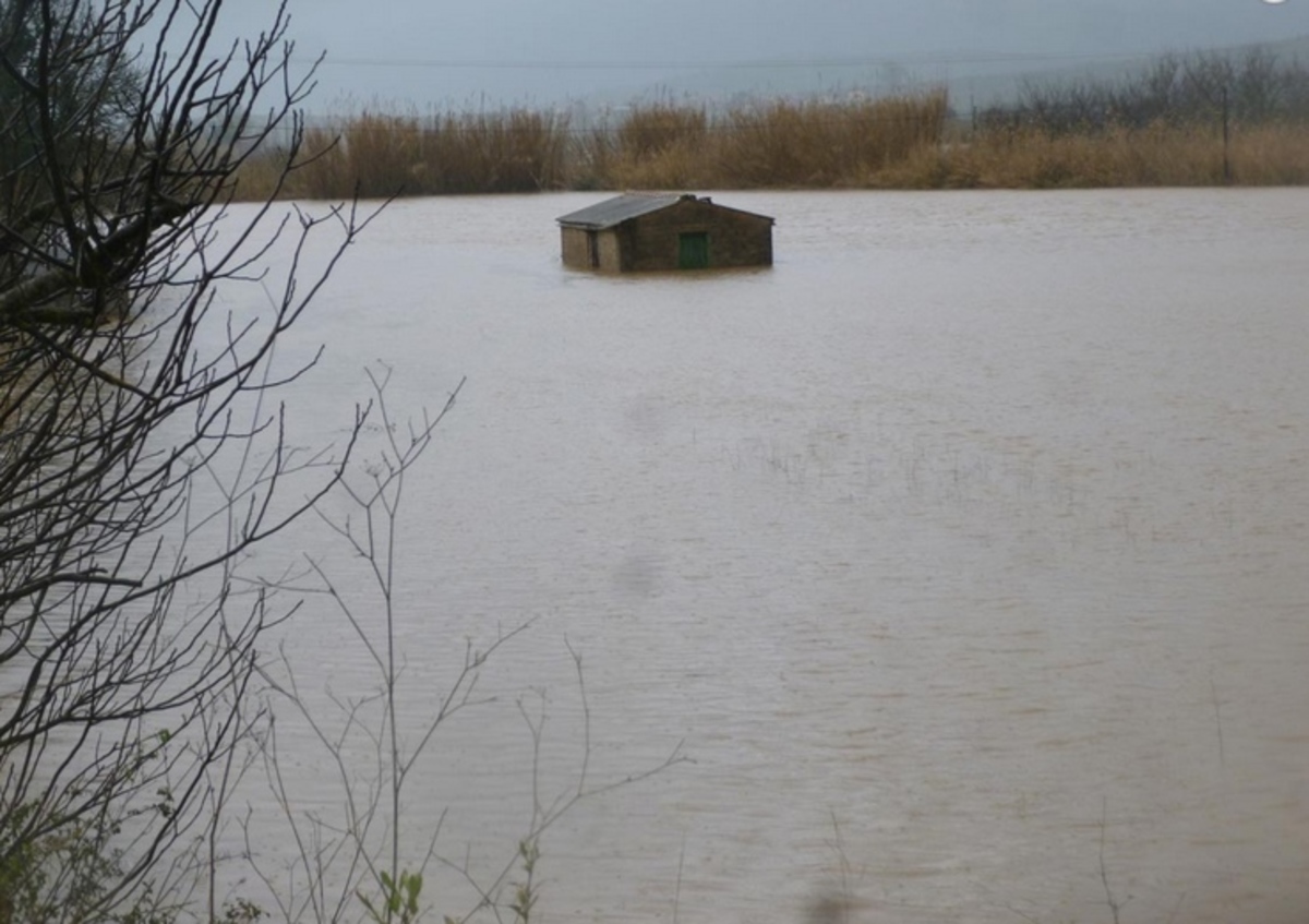 ΦΩΤΟ από eleftheriaonline.gr