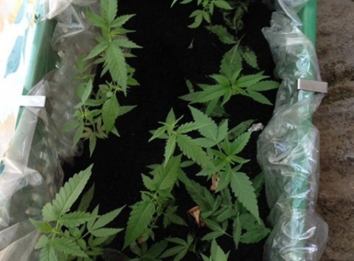 ΦΩΤΟ ΑΡΧΕΙΟΥ