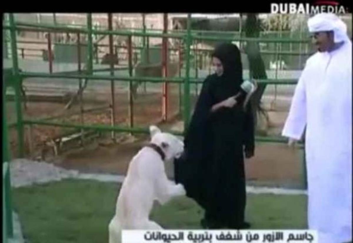 Τι τραβάνε οι δημοσιογράφοι στο Ντουμπάι…