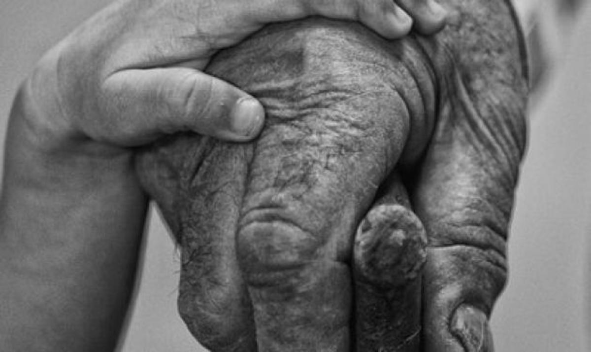 Όταν οι νέοι βρίσκουν τρόπο να κάνουν να πραγματοποιήσουν τα όνειρά τους στην Ελλάδα της κρίσης!