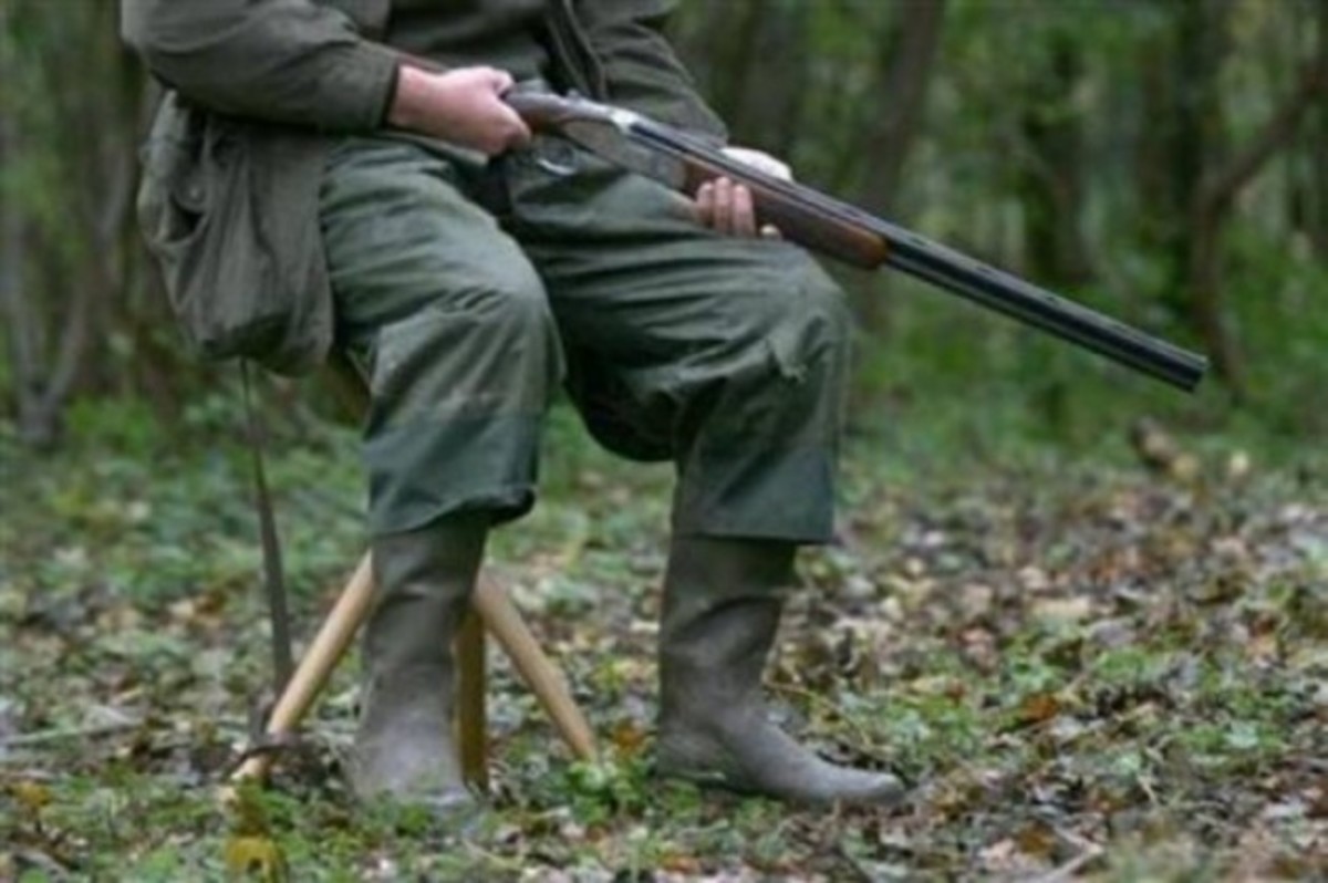 Kυνηγετική περίοδος 2014-2015 – τέλη αδειών & απαγορεύσεις