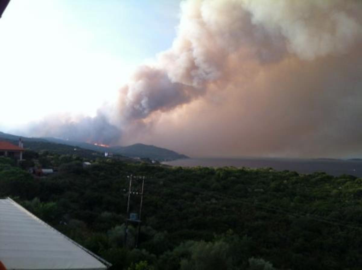 Πηγή φωτογραφίας: seleo.gr