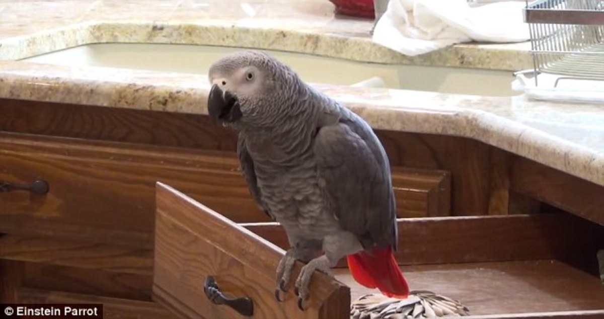 ΠΗΓΗ ΦΩΤΟ DAILY MAIL