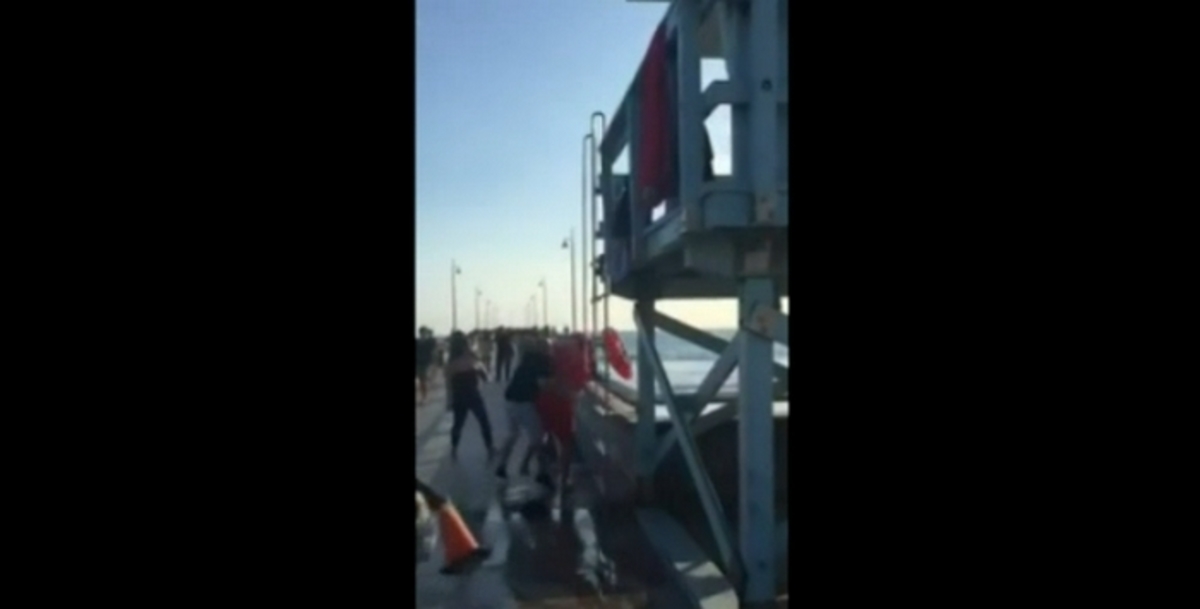 Το ξύλο της αρκούδας σε παραλία – Πιάστηκαν στα χέρια με ναυαγοσώστη (ΒΙΝΤΕΟ)