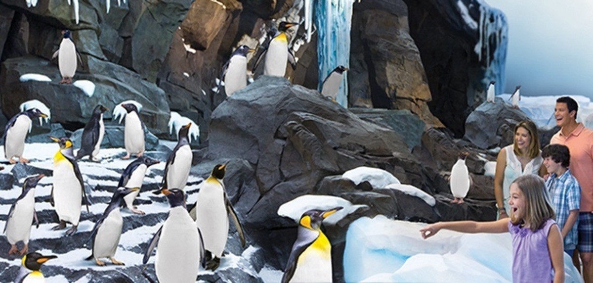 Αποκαλύψεις για τη SeaWorld! Είχε κατασκόπους σε ζωοφιλικές οργανώσεις