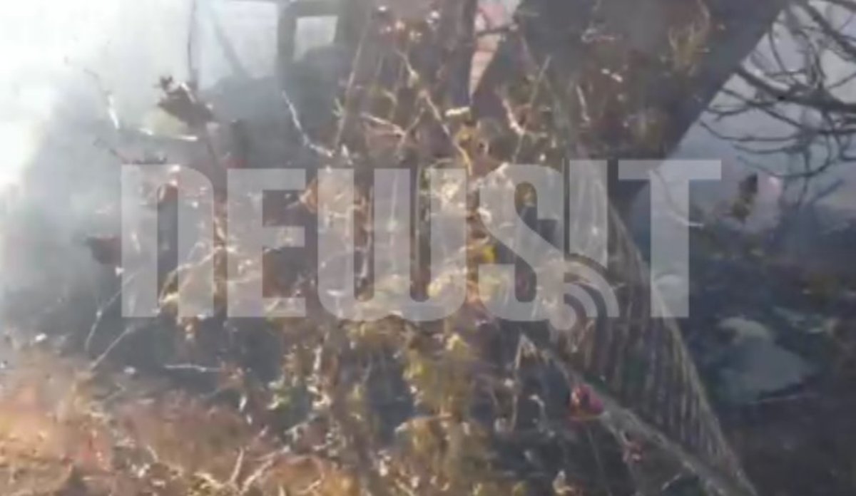 Πρωινές εικόνες από Πάρνηθα