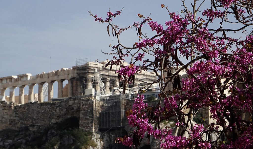 Φτιάχνουν θεματικό πάρκο με Παρθενώνα και Σφίγγα