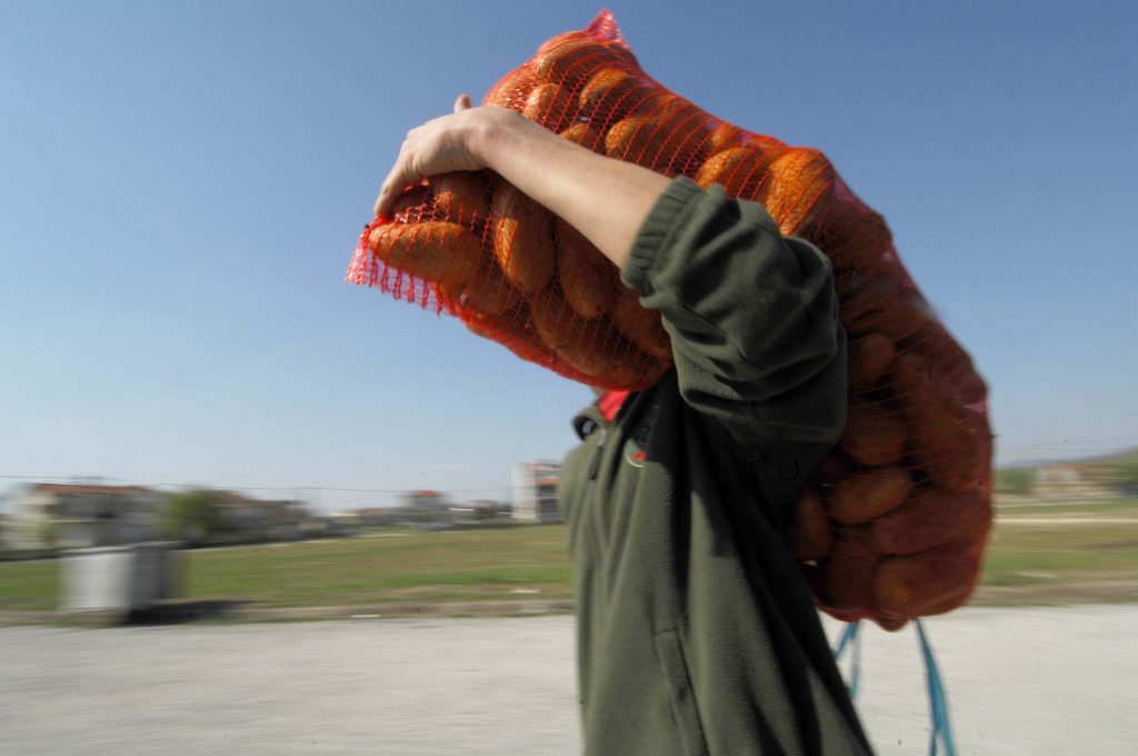 Aπαγόρευση εισαγωγής κοινοτικής πατάτας από τη Ρωσία