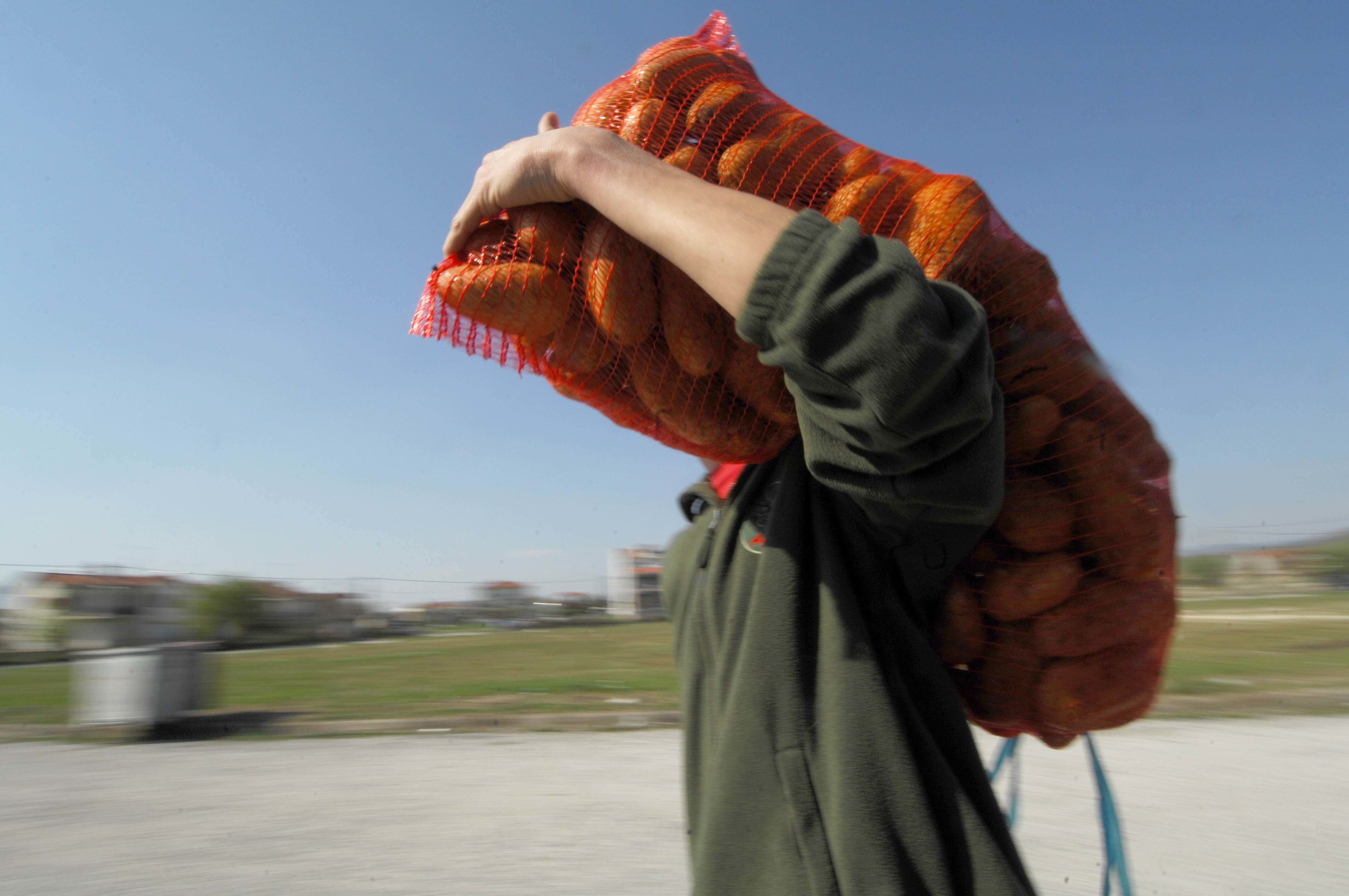 Aπαγόρευση εισαγωγής κοινοτικής πατάτας από τη Ρωσία