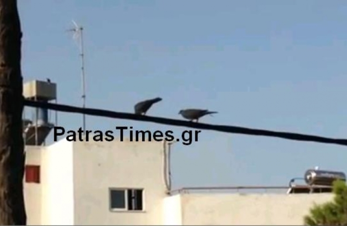 ΦΩΤΟ από το PatrasTimes