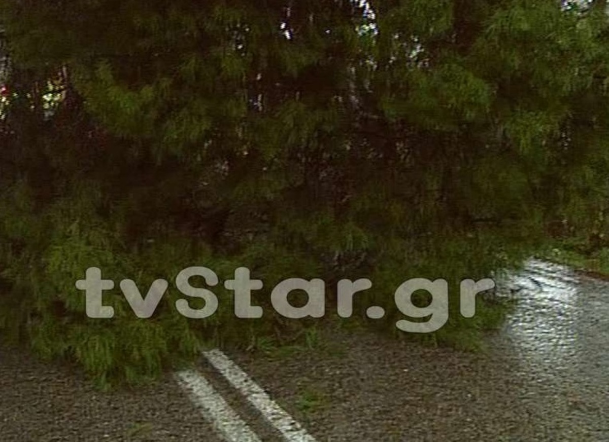 ΦΩΤΟ από το LamiaStar
