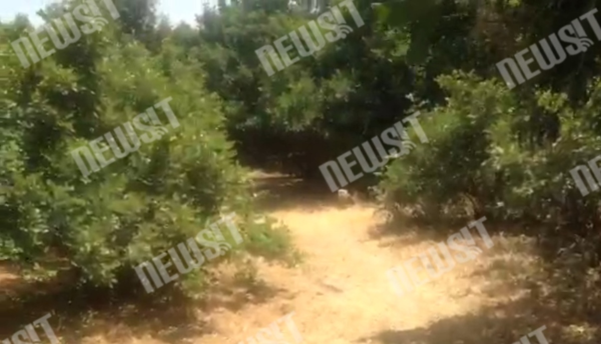 Πικ νικ στο Λυκαβηττό