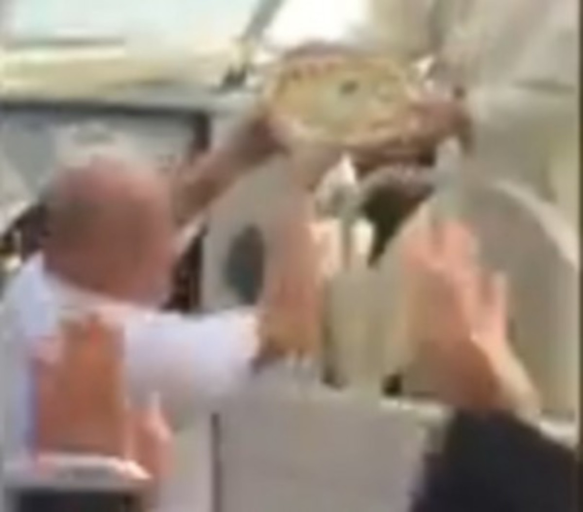 Δώρο…πίτσα στον Πάπα Φραγκίσκο