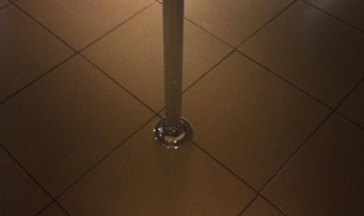 Ποια Ελληνίδα ηθοποιός ξεκίνησε pole dancing;