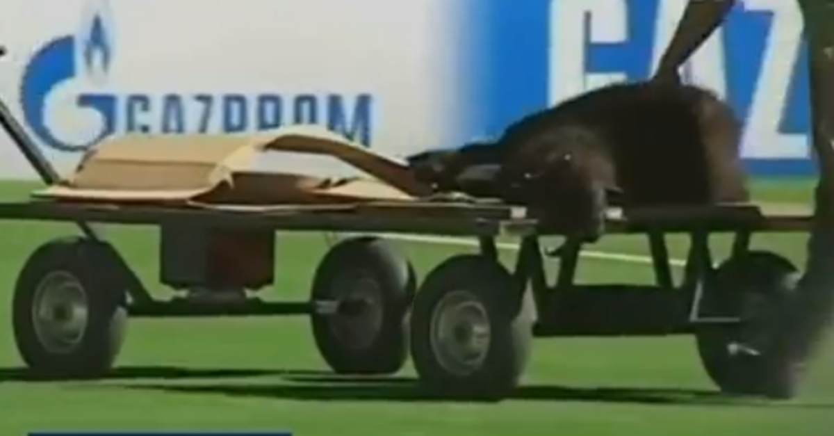 Το μαύρο πρόβατο που θυσιάστηκε!