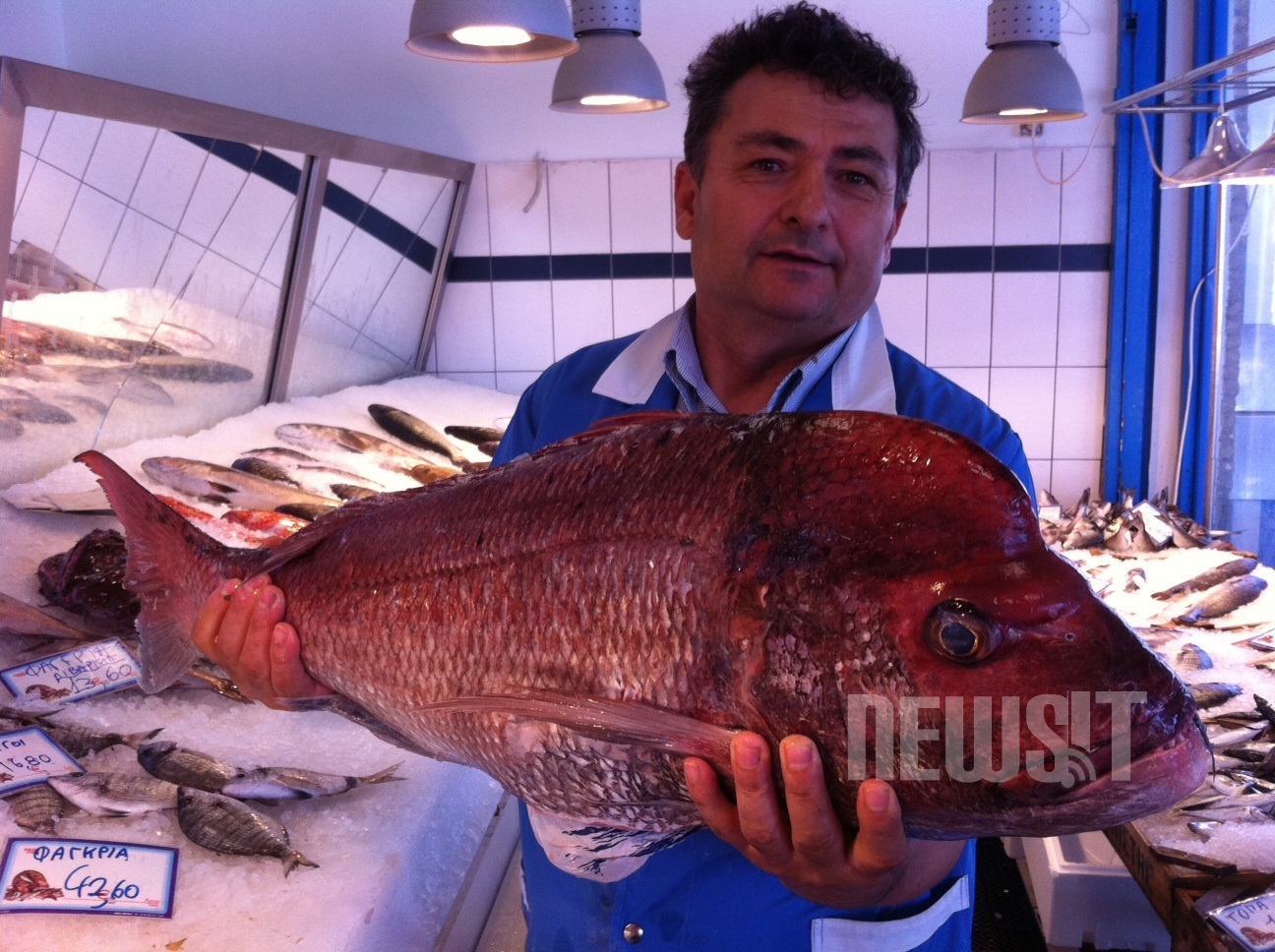 Πως να ξεχωρίζετε τα φρέσκα ψάρια και τα οστρακοειδή – ΦΩΤΟ και VIDEO