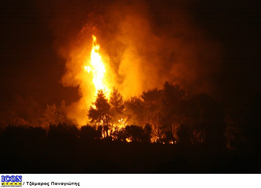 Εμπρησμοί οι φωτιές στα ελληνικά δάση – Η ΕΥΠ στο κυνήγι των εμπρηστών