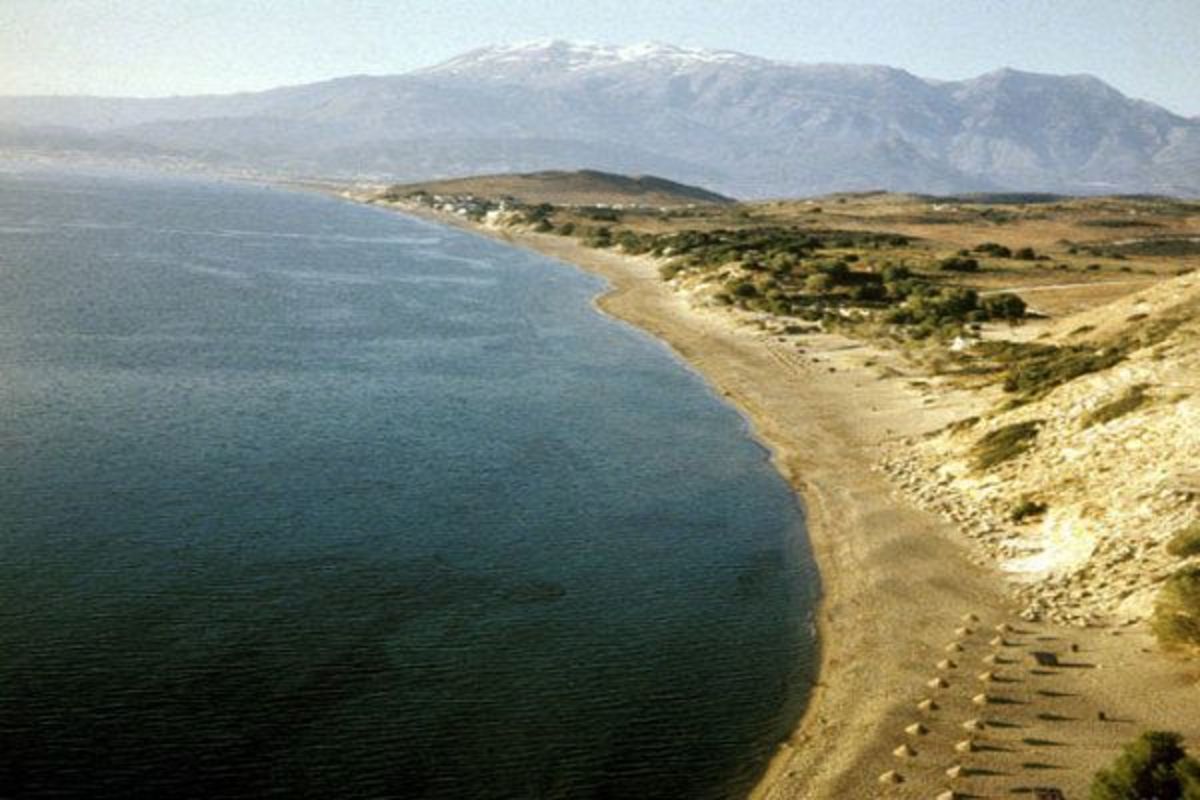 Κρήτη: Εκείνοι κολυμπούσαν, κι οι άλλοι τους …”μαδούσαν”!