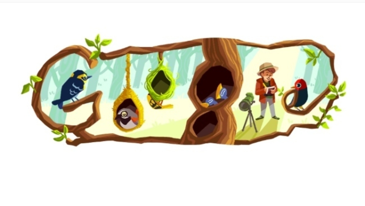 Phoebe Snetsinger: Όσα πρέπει να γνωρίζετε για το Google της Doodle