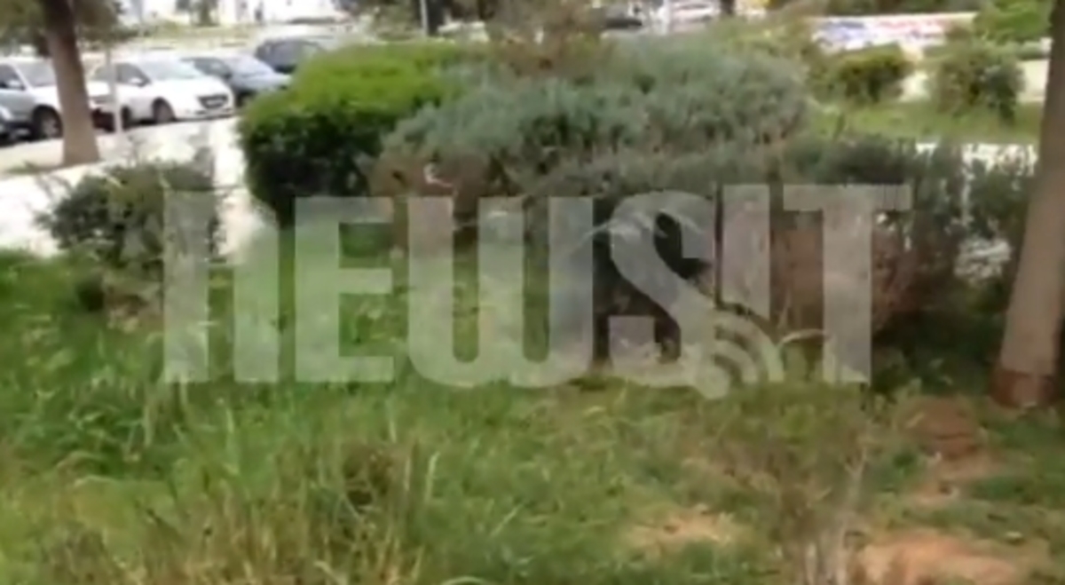 Δολοφονία γυναίκας στη Γλυφάδα