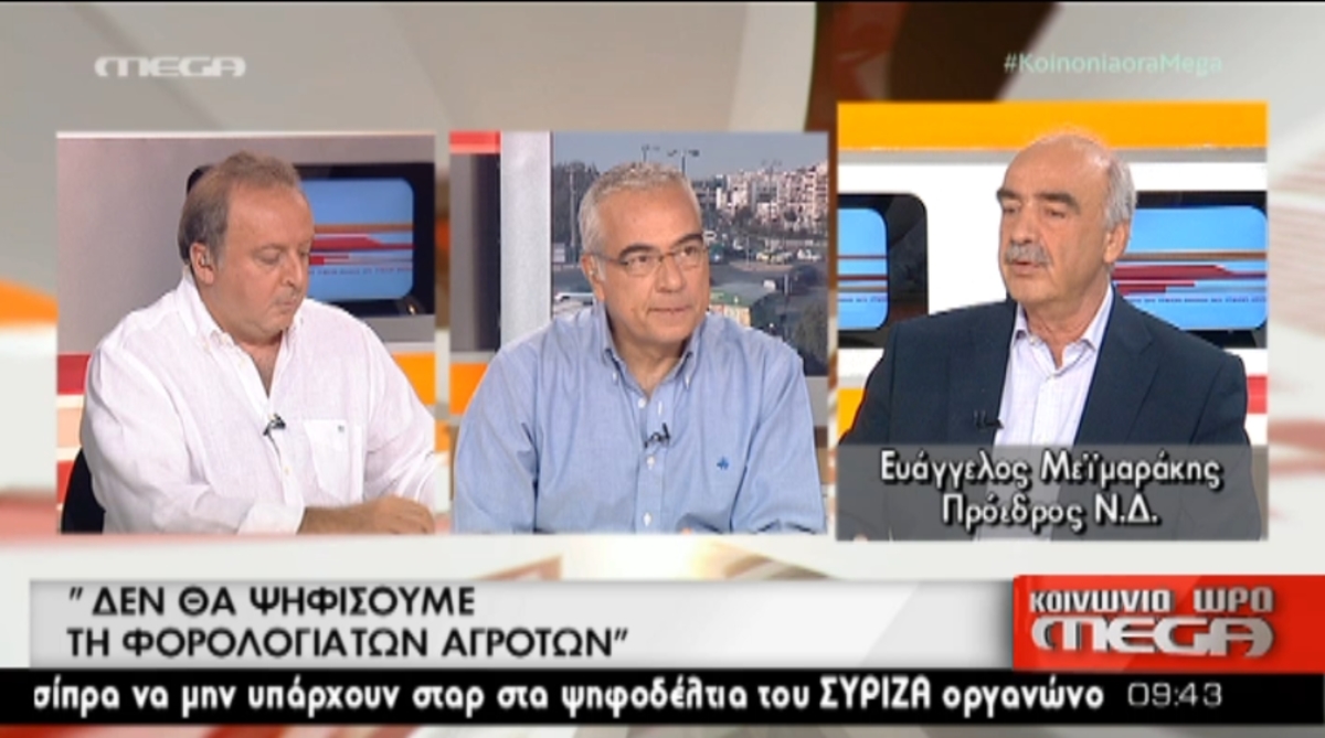 Συνέντευξη Μεϊμαράκη για εκλογές
