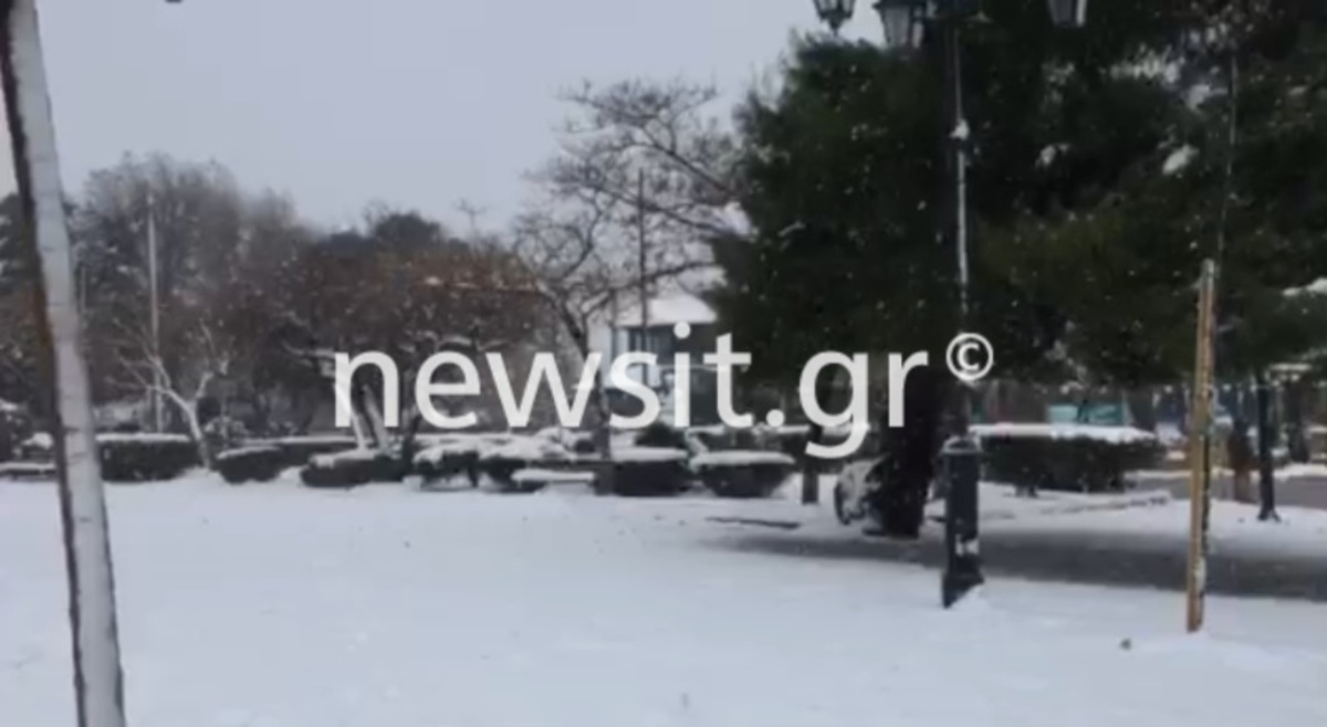Στην κατάψυξη η Πεντέλη