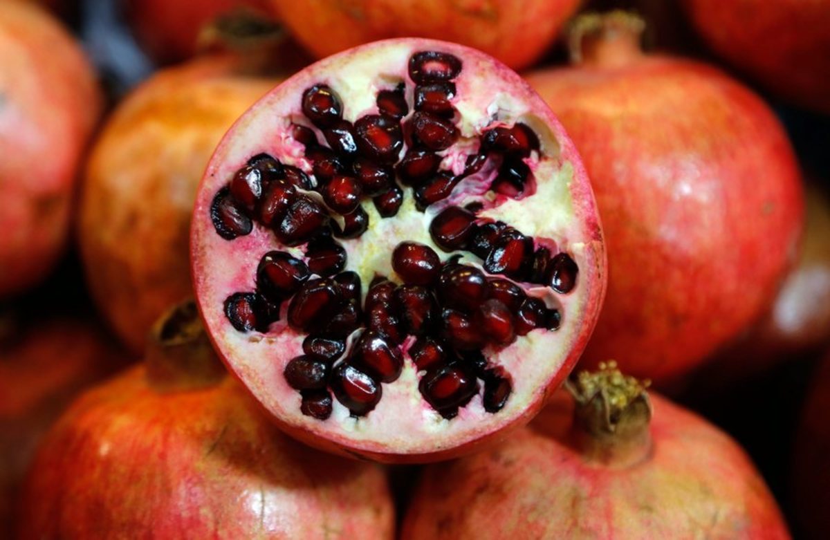 Αλφαβητάρι διατροφής για τους μαθητές