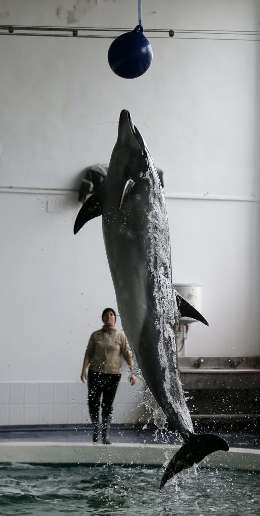 ΒΟΥΚΟΥΡΕΣΤΙ