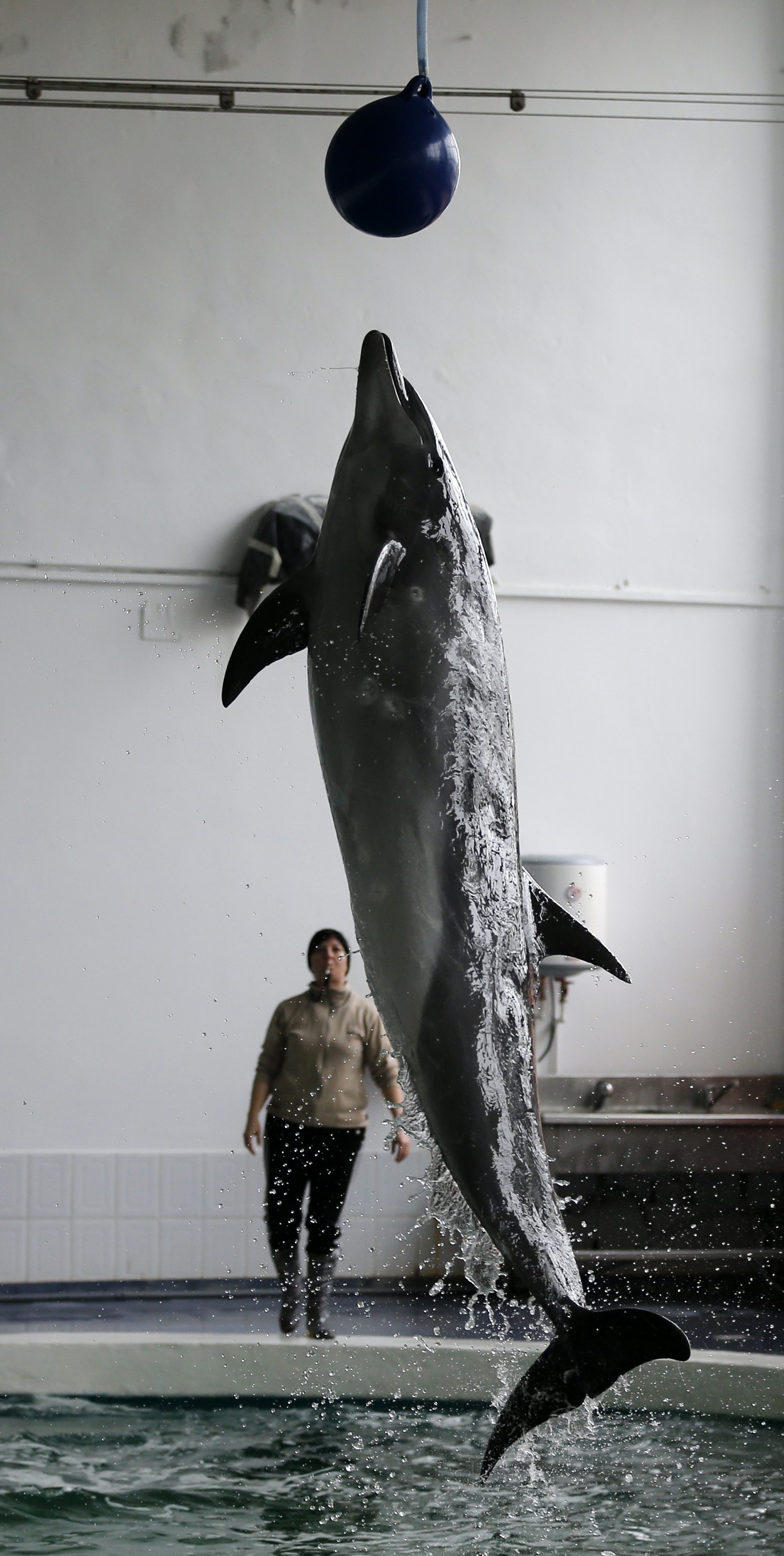 ΒΟΥΚΟΥΡΕΣΤΙ