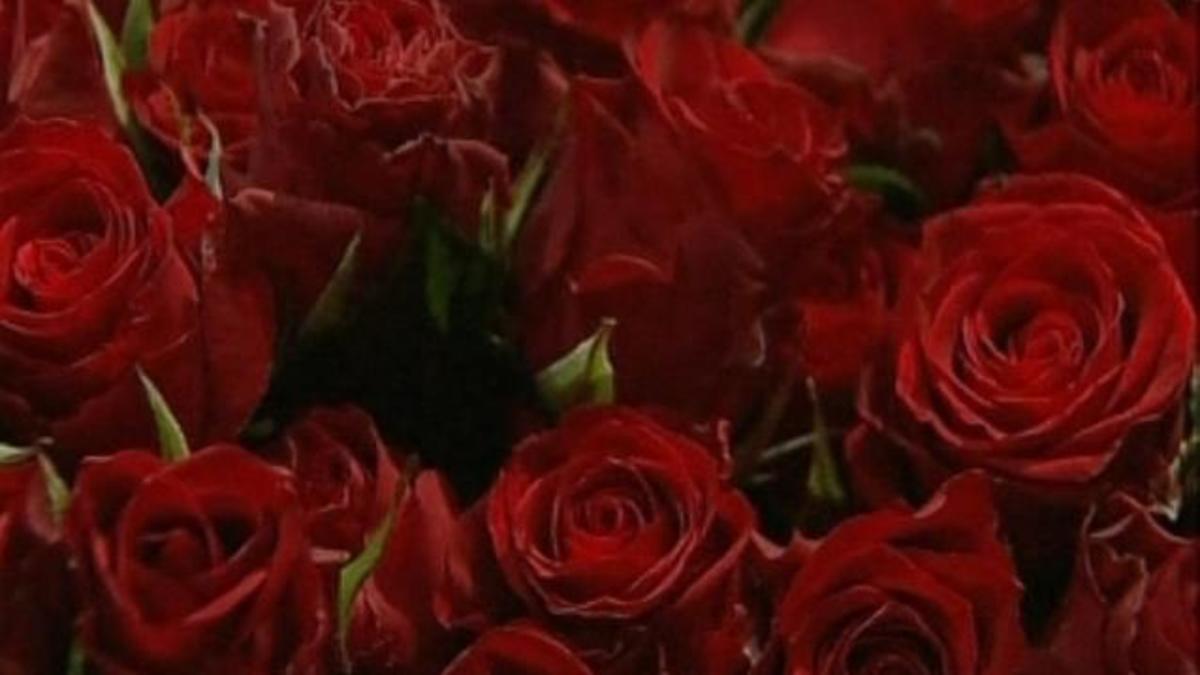 Δικαστήριο τον διέταξε να αγοράσει 777 τριαντάφυλλα στη σύζυγο