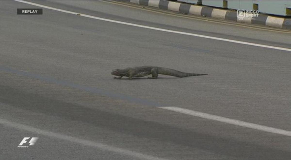 F1: Απίστευτος “επισκέπτης”! Ο… Γκοντζίλα στην πίστα της Σιγκαπούρης [vid]