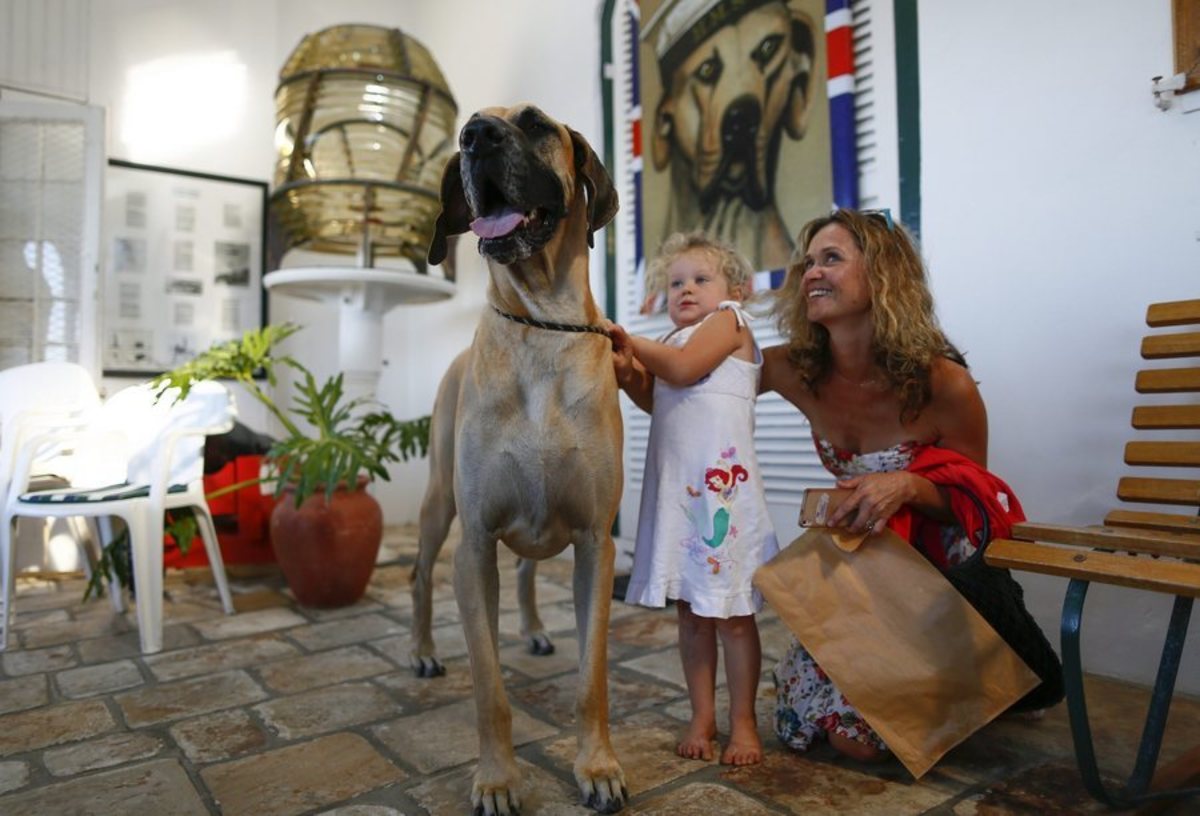 Ο Scooby-Doo ζει! Έχουμε αποδείξεις (ΦΩΤΟ)