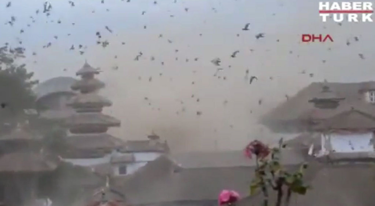 Σεισμός στο Νεπάλ: Απόκοσμο βίντεο με τα πουλιά να τρελαίνονται την ώρα της δόνησης!