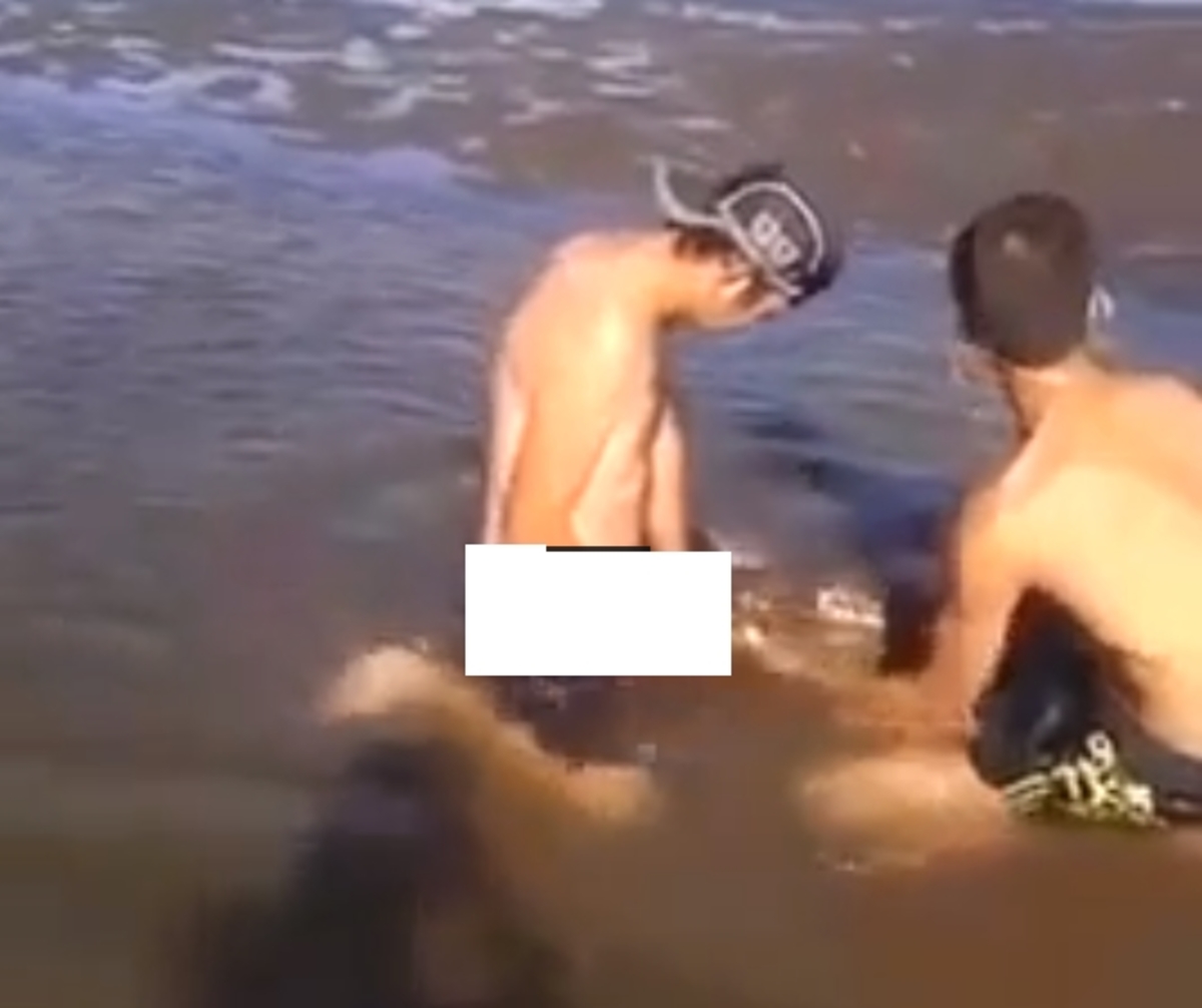 2 guys letting fish suck their dick
