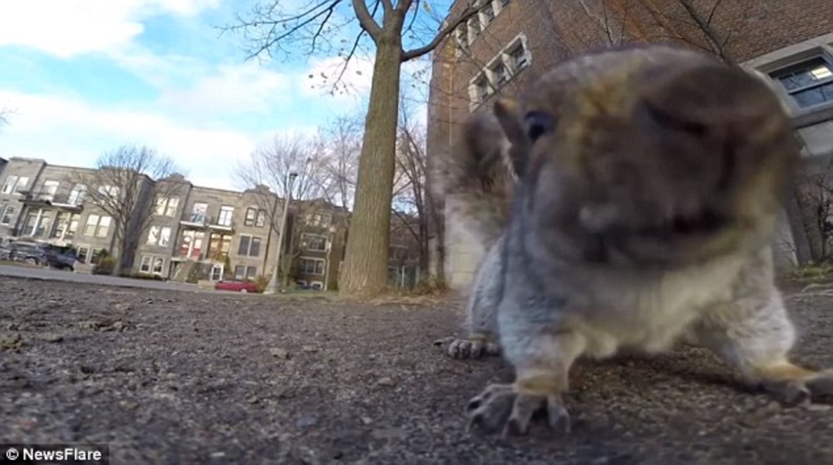 ΠΗΓΗ ΦΩΤΟ DAILY MAIL