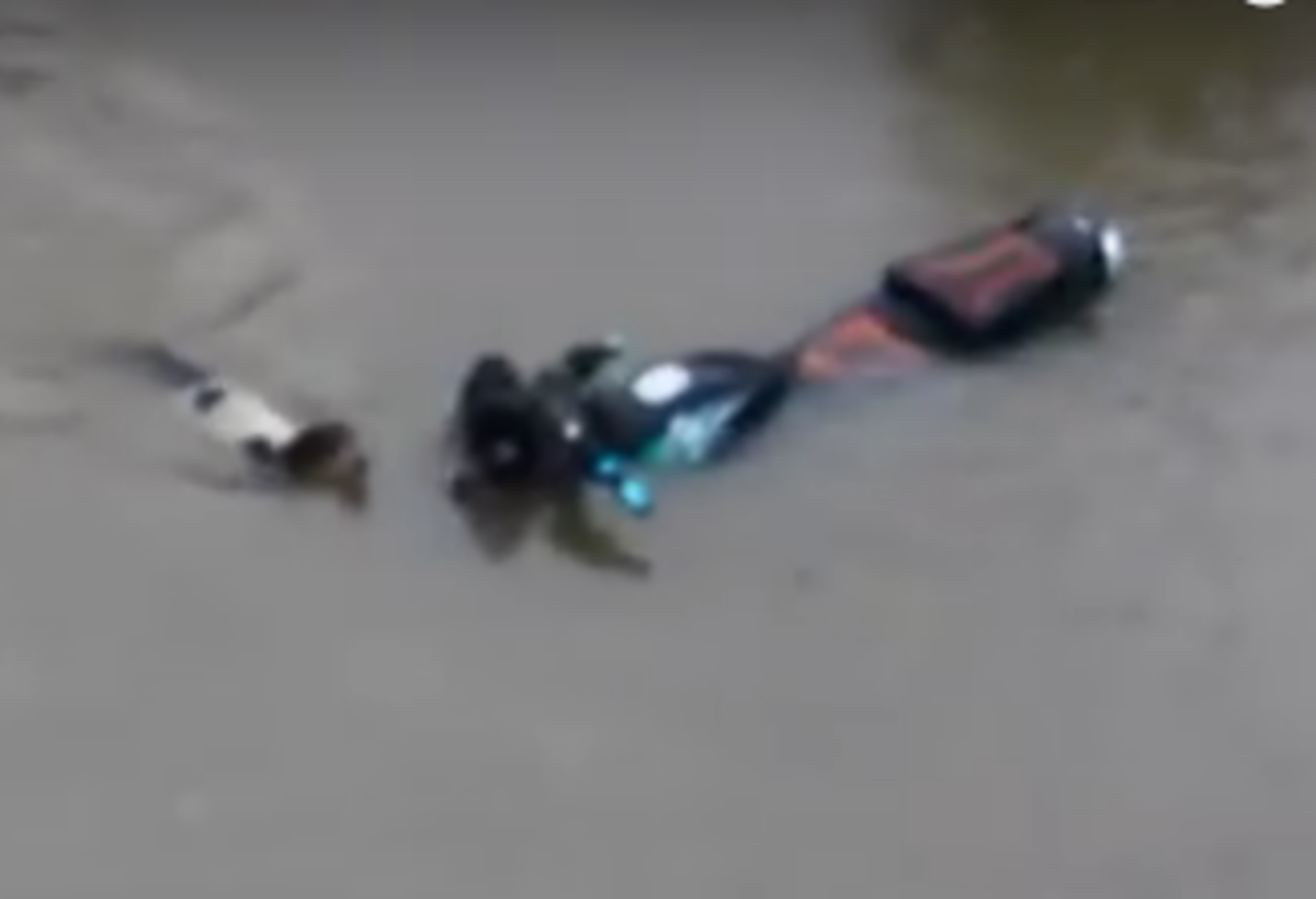 ΠΗΓΗ ΦΩΤΟΓΡΑΦΙΑΣ YOUTUBE