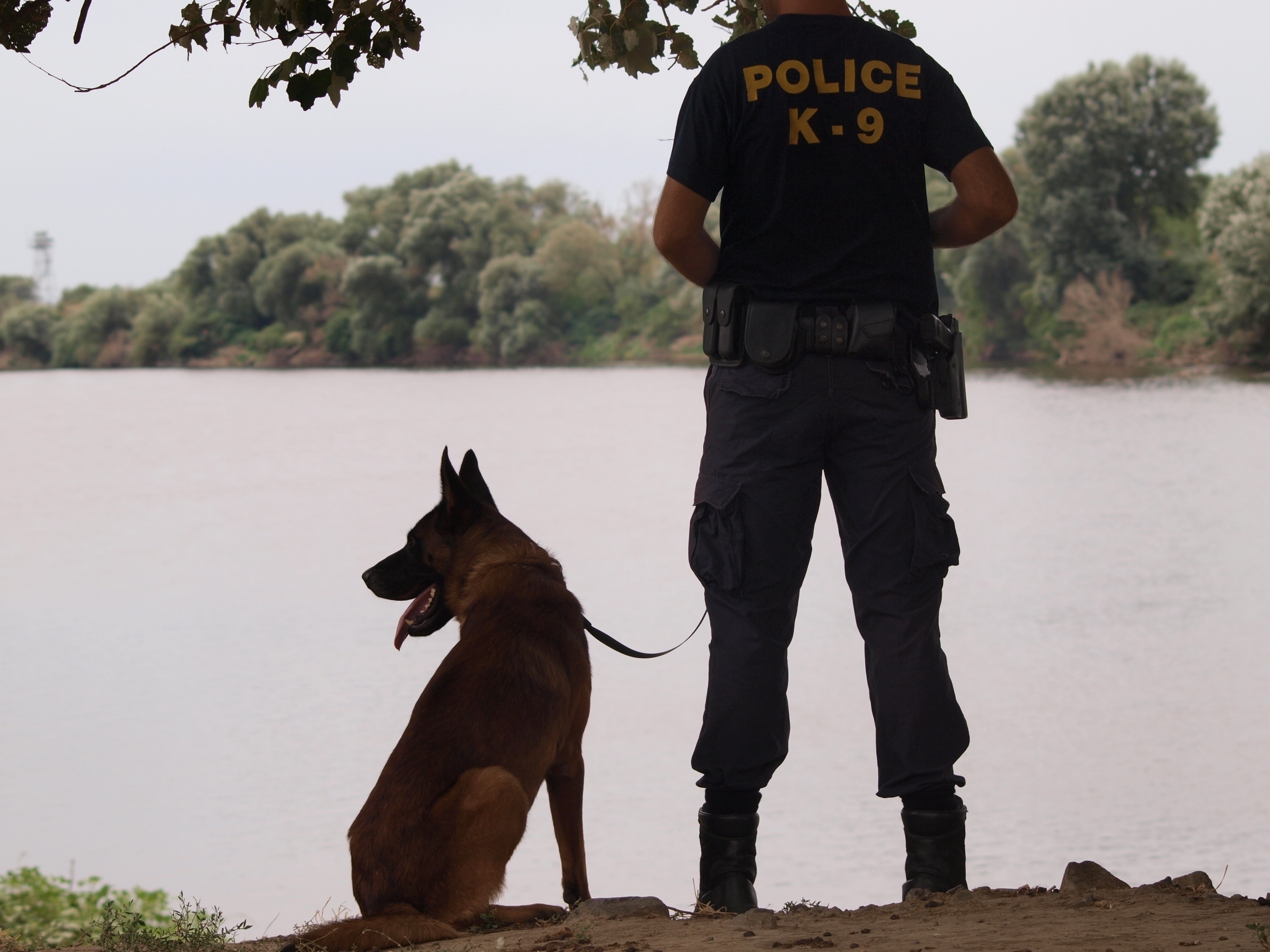Ενισχύεται η “Ξένιος Ζευς” με 16 αστυνομικούς σκύλους