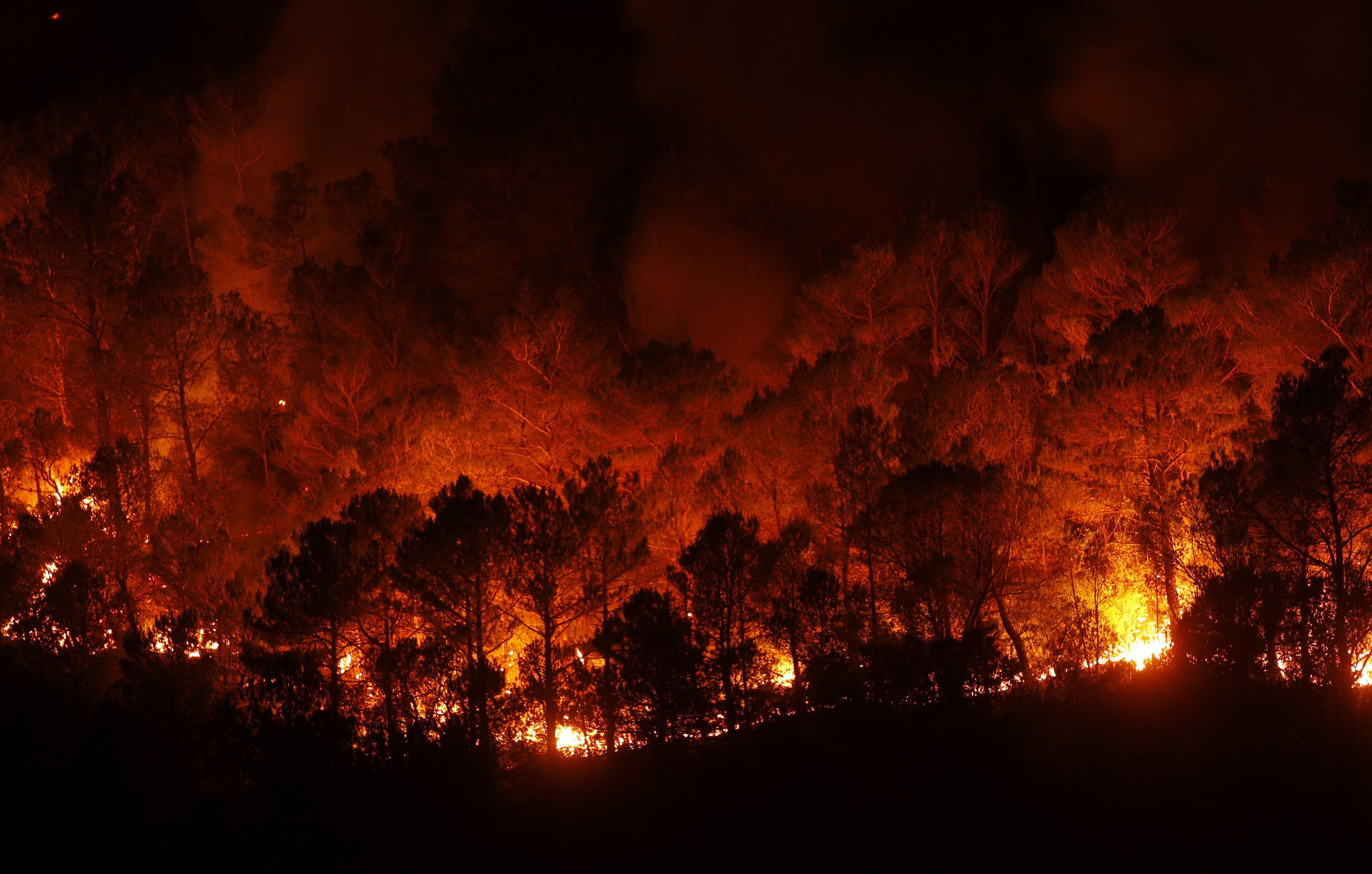 Мокрые леса загорались величественными багряными. Лесные пожары. Горящий лес. Красивый пожар. Лес в огне.