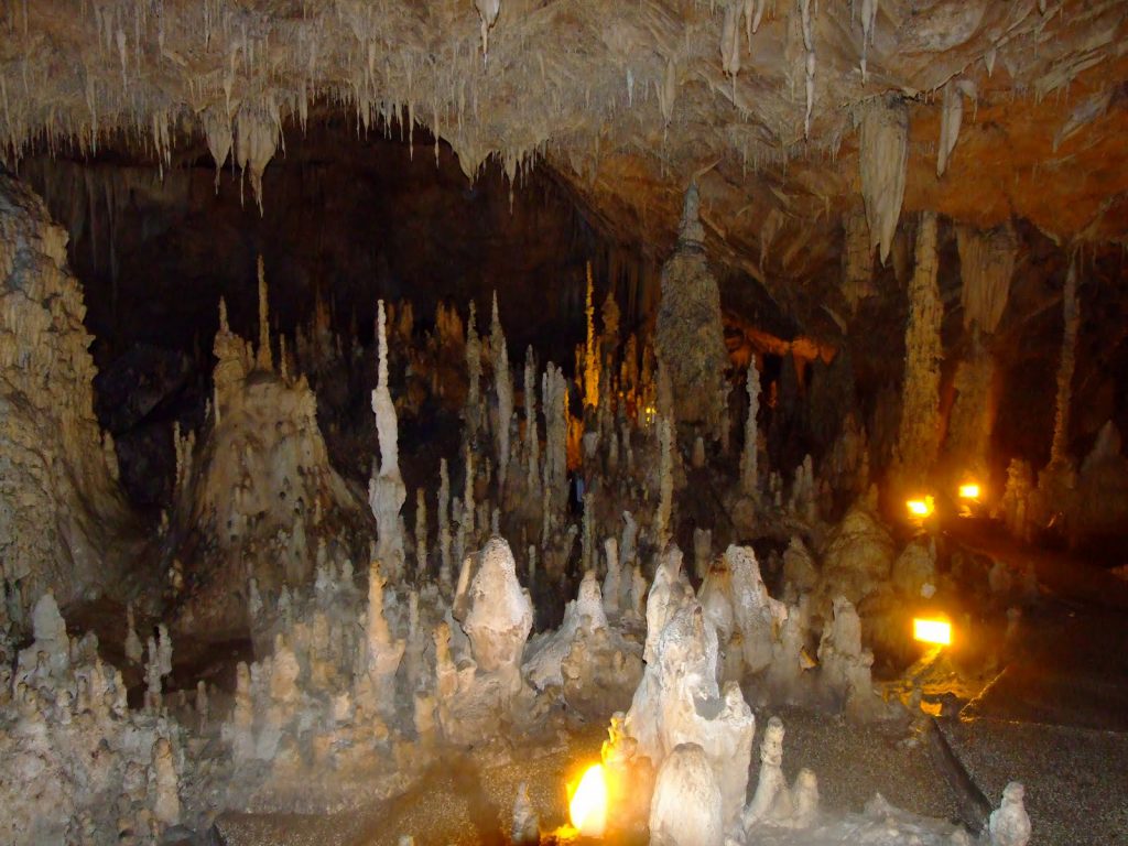 Ιωάννινα: Ιδρύεται πάρκο παλαιοντολογίας