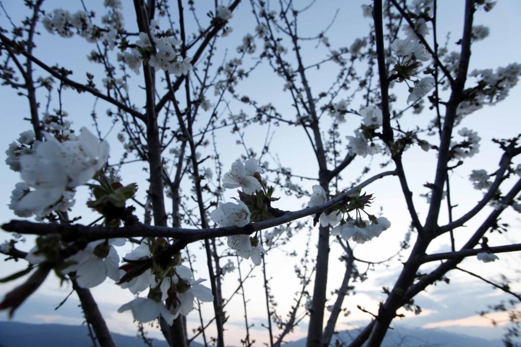 Μικρή πτώση της θερμοκρασίας  – Αναλυτική πρόγνωση για όλη την εβδομάδα