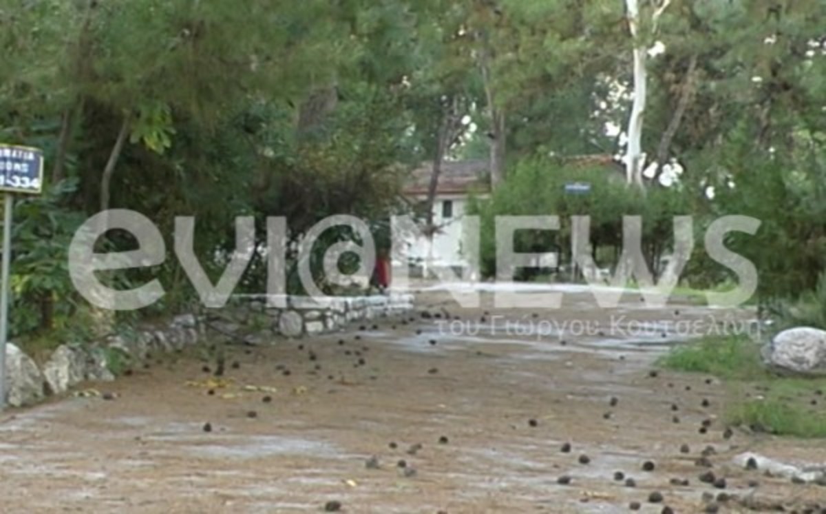 Το νησί των ονείρων