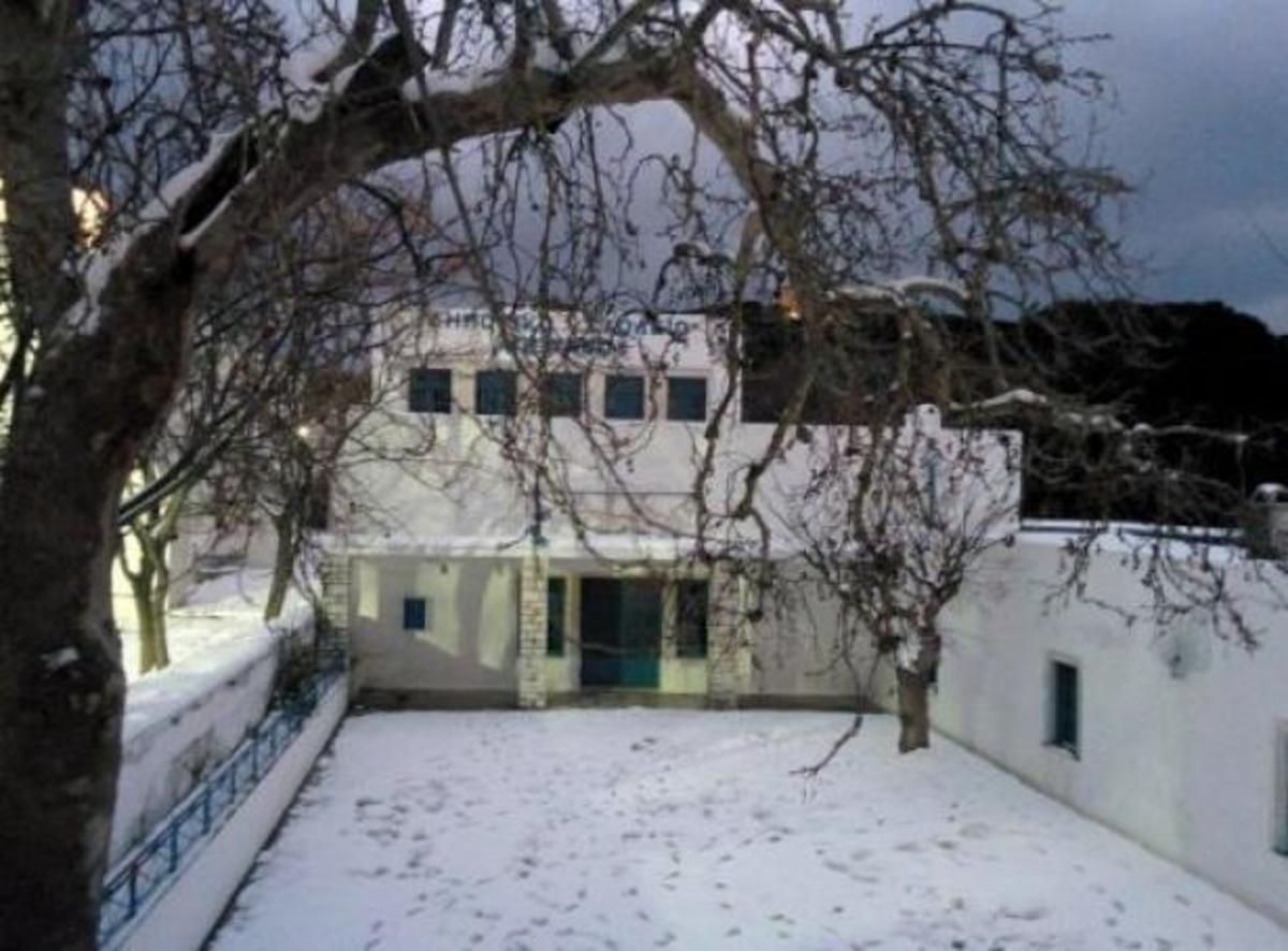 Το Δημοτικό Σχολείο Απειράνθου - ΦΩΤΟ από το cycladesvoice
