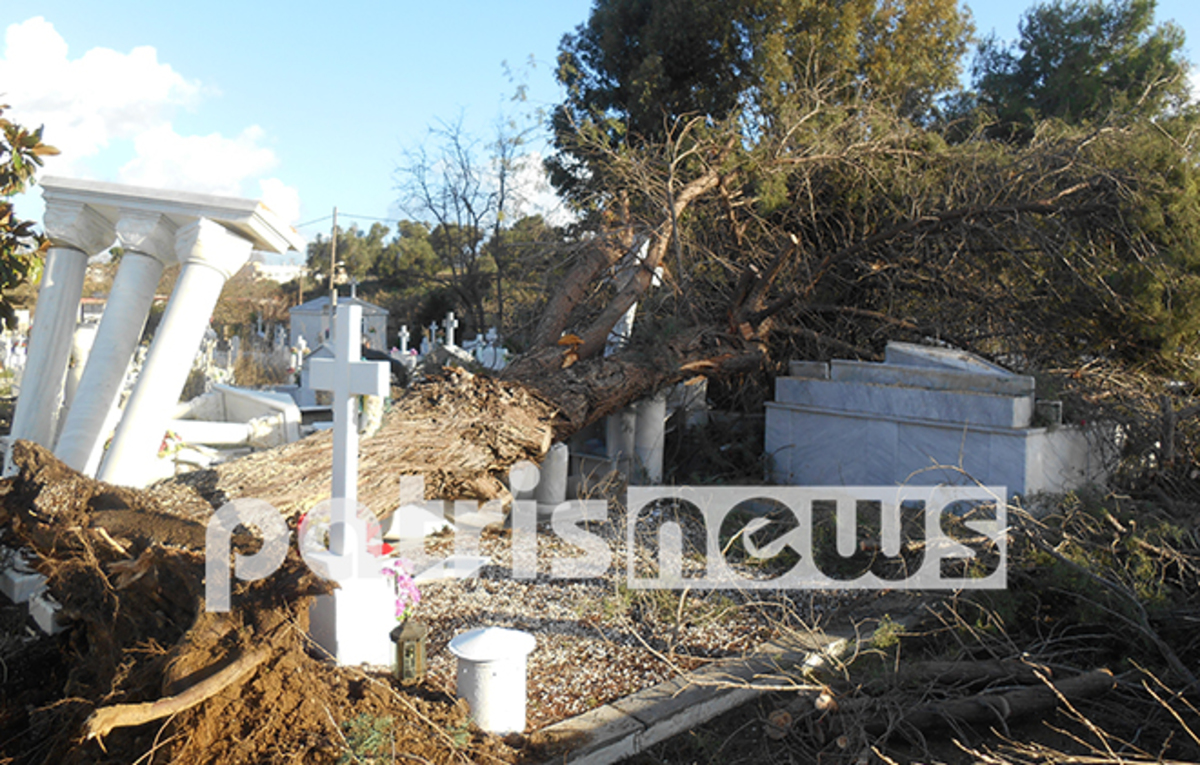 ΦΩΤΟ από το patrisnews